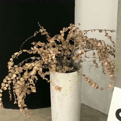 Furry创作脑洞合集福瑞群